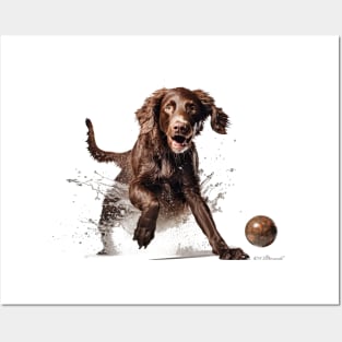 Irish Setter Posters and Art